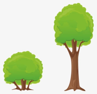 Free Forest Clip Art With No Background Clipartkey