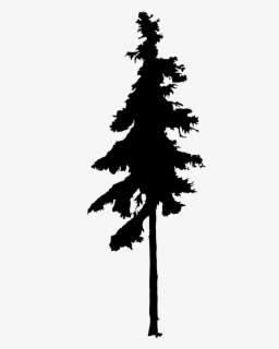 Download Free Pine Tree Silhouette Clip Art With No Background Clipartkey