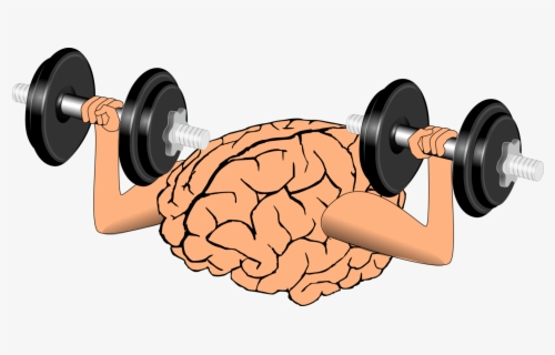 Brain Lifting Weights Transparent , Free Transparent Clipart - ClipartKey