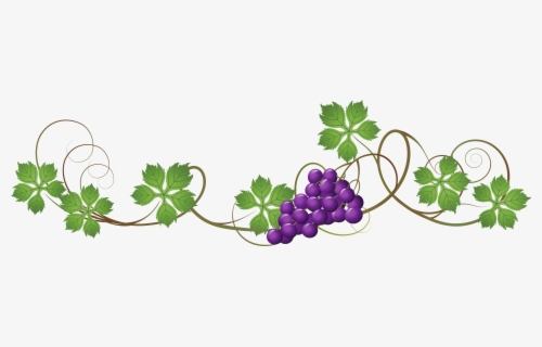 Grapes Clipart - Grape Vine Clipart Black And White , Free Transparent ...