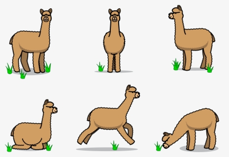 Llama Clipart Animal American Cartoon Alpaca Transparent Background Free Transparent Clipart Clipartkey