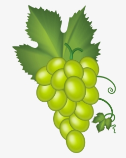 Free Grape Cluster Clip Art with No Background - ClipartKey