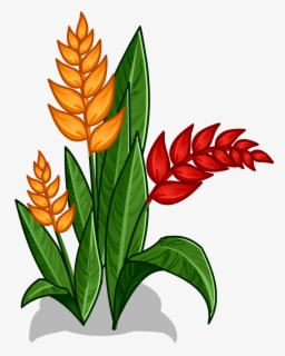 Rainforest Flowers Clipart At Getdrawings Amazon Rainforest Plants Drawing Free Transparent Clipart Clipartkey