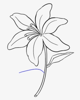 Clip Art How To Draw A - Lily Pad Flower Drawing , Free Transparent ...