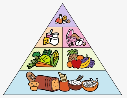 Featured image of post Healthy Food Pyramid Easy Drawing