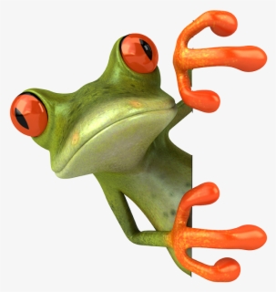 Free Tree Frog Clip Art with No Background - ClipartKey