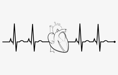 Free Ekg Clip Art With No Background Page 2 Clipartkey