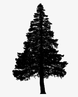 Download Free Pine Tree Silhouette Clip Art With No Background Clipartkey