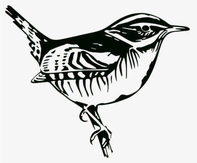 Free Png Bird Png Image With Transparent Background - Illustration ...