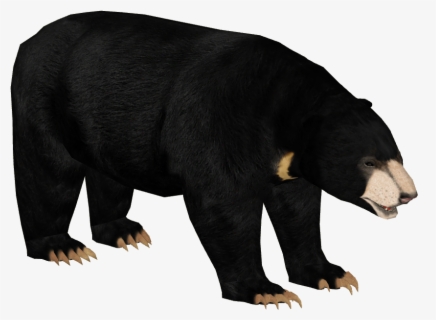 Free Black Bear Clip Art With No Background Page 5 Clipartkey