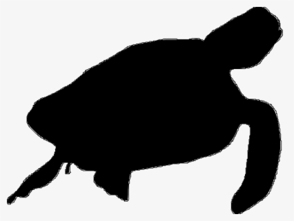 Sea Turtle Free Svg , Free Transparent Clipart - ClipartKey