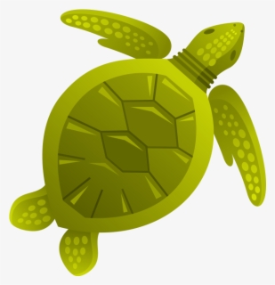 Cartoon Sea Turtle Shell , Free Transparent Clipart - ClipartKey