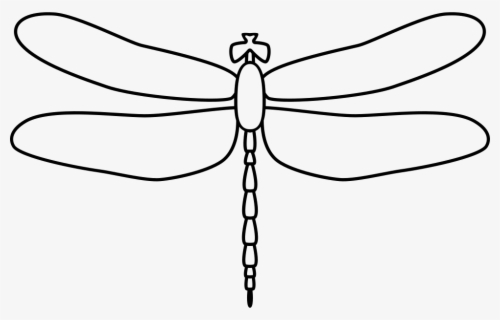 Collection Of Free Dragonfly Mandala Download On Ui Dragonfly Mandala Svg Free Free Transparent Clipart Clipartkey