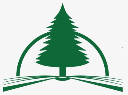 Myspace layout nightmare before christmas