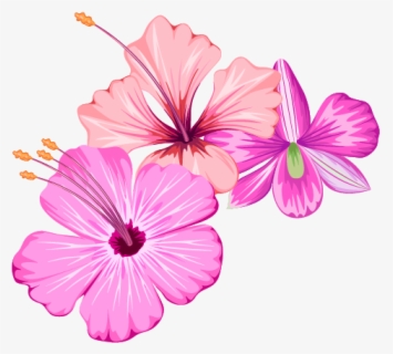 Grab This Free Summer Flower Clip Art - Summer Flowers Clip Art Free ...