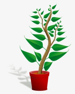 Featured image of post House Plant Clipart Transparent Background Search more hd transparent house plant image on kindpng