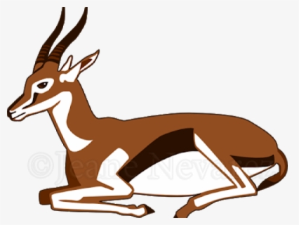 Gazelle Transparent Background Gazelle Png Free Transparent Clipart Clipartkey