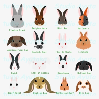 Transparent Bunny Silhouette Clipart - Rabbit Head Png Silhouette Logo ...