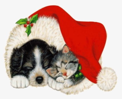 Free Christmas Cat Clip Art With No Background Clipartkey