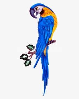 macaw imagenes de guacamayas png free transparent clipart clipartkey macaw imagenes de guacamayas png