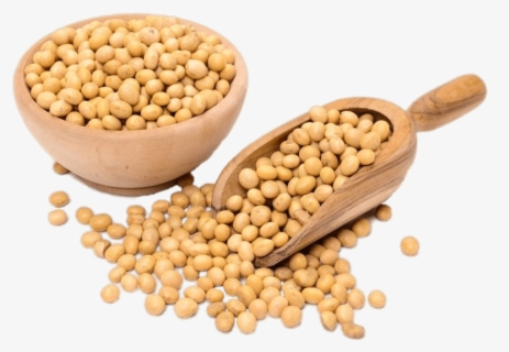 Soybeans Clipart , Free Transparent Clipart - ClipartKey