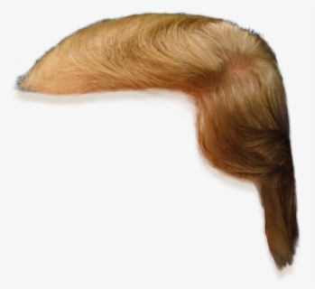 Haircut Png Clipart - Donald Trump Hair Only , Free Transparent Clipart ...