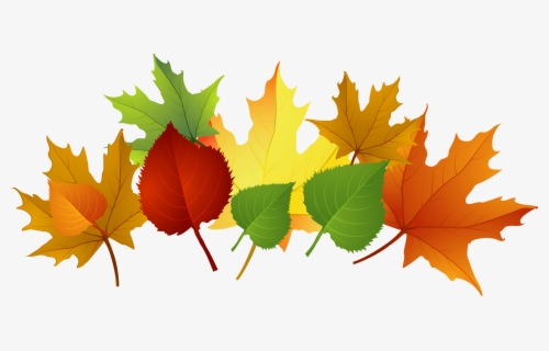 Fall Leaf Clip Art Free Cliparts That You Can Download - Autumn , Free ...