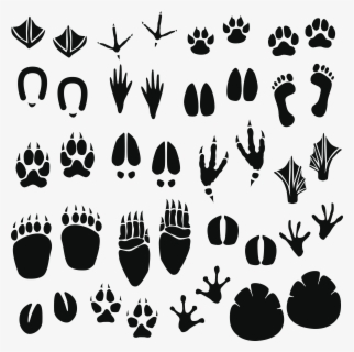 Footprint Clipart Rat - Tracks Of Animals , Free Transparent Clipart ...