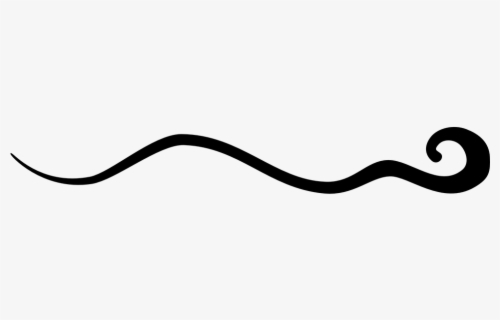 Free Squiggly Line Clip Art with No Background - ClipartKey