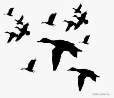 Flying Ducks Silhouette Png , Free Transparent Clipart - ClipartKey